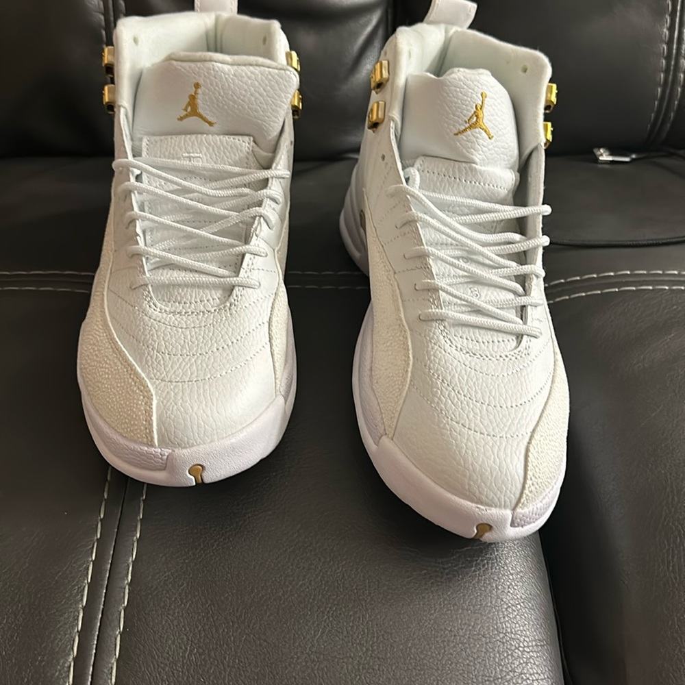 Drake, OVO Jordan 12 White size 10 New in box.